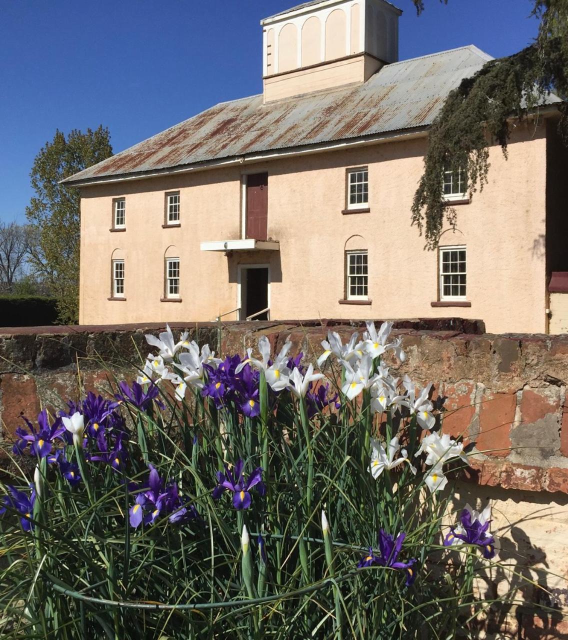 Woolmers Estate Longford 외부 사진