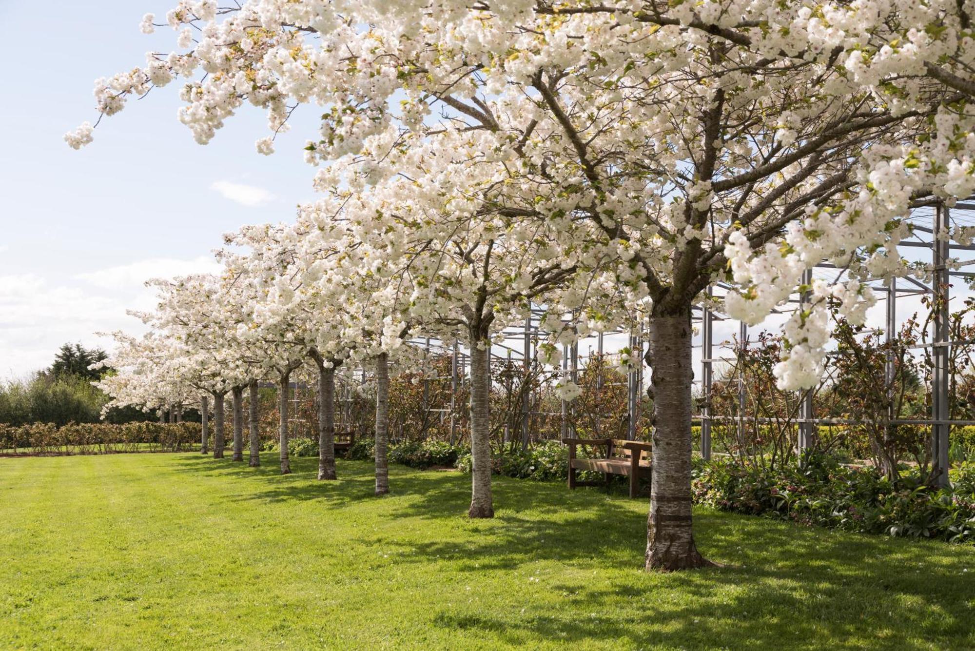 Woolmers Estate Longford 외부 사진
