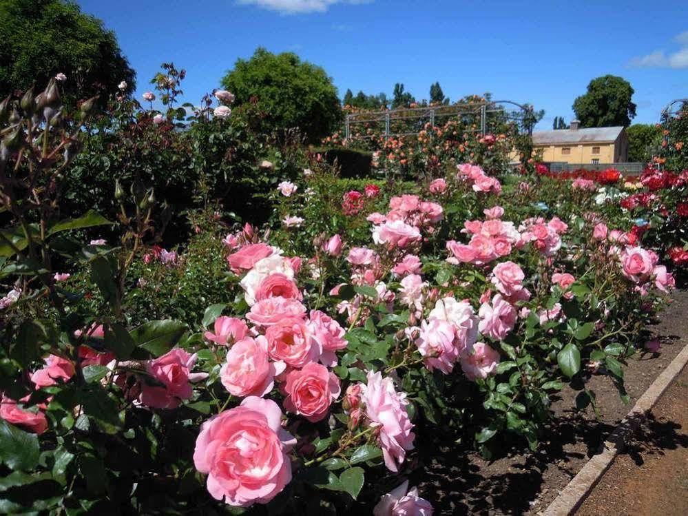Woolmers Estate Longford 외부 사진