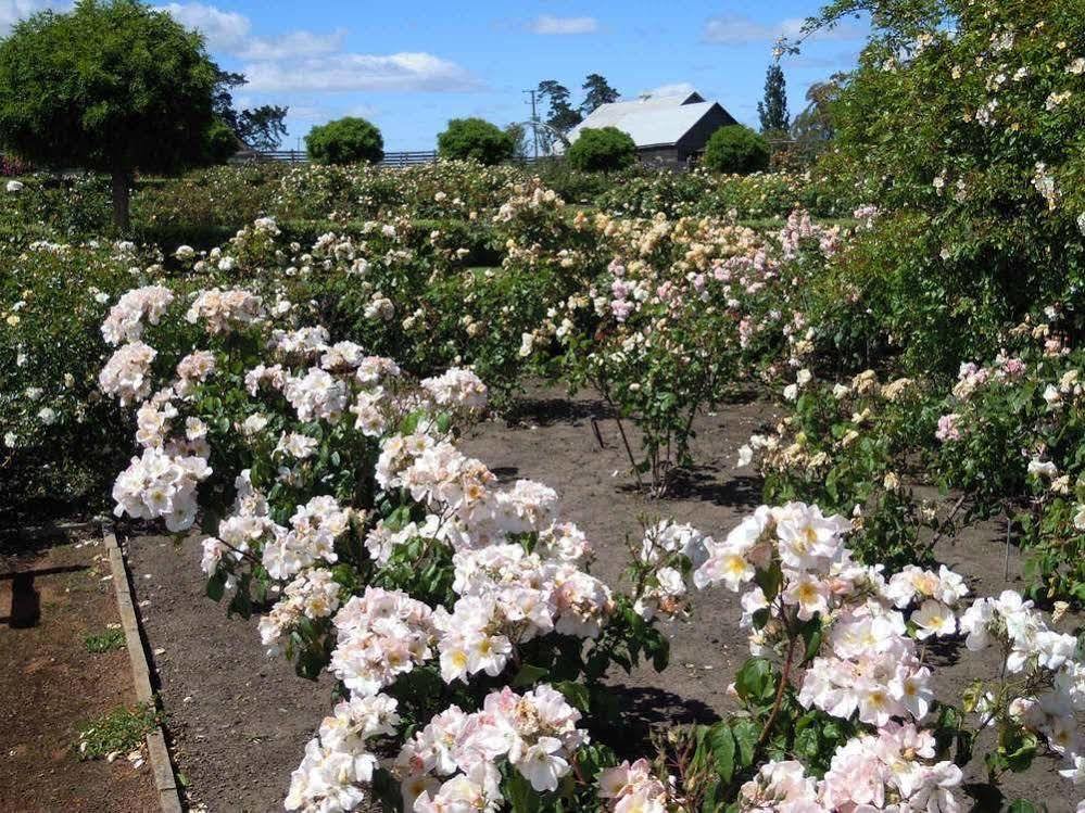Woolmers Estate Longford 외부 사진